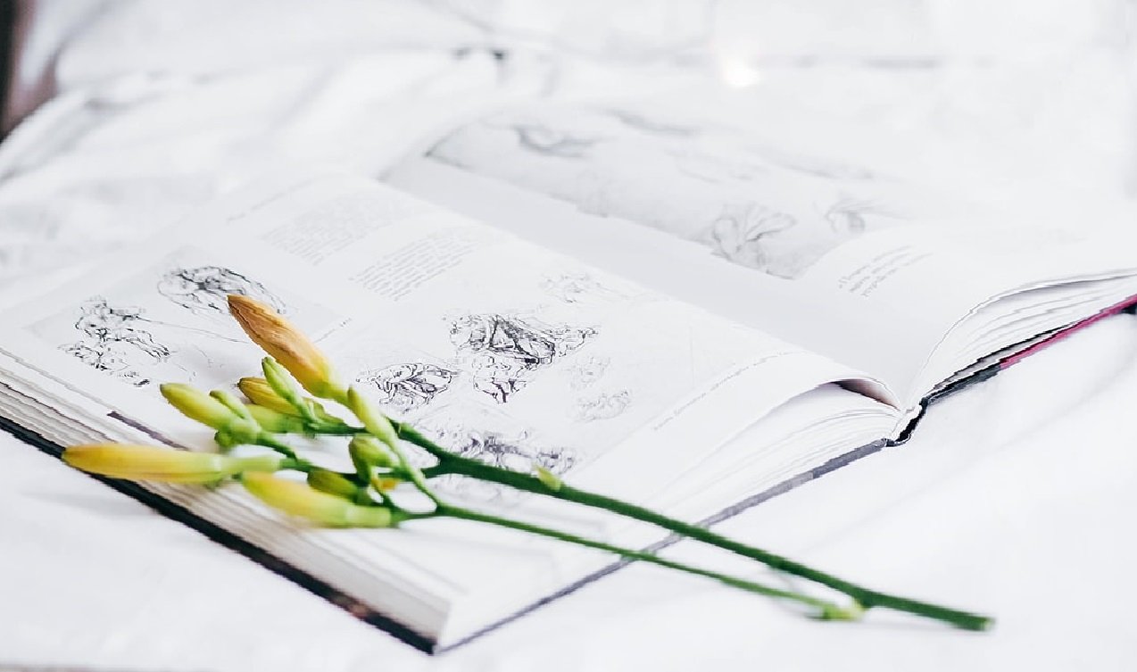 Ursachenforschung selber durchführen - Pure Skin Concept GmbH